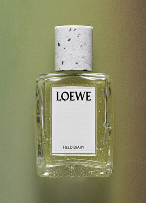 Loewe LOEWE Field Diary EDP 100ml Unisex Perfume - 4