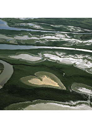 Guerlain Aqua Allegoria Pamplelune EDT 75 ml Kadın Parfüm - 3