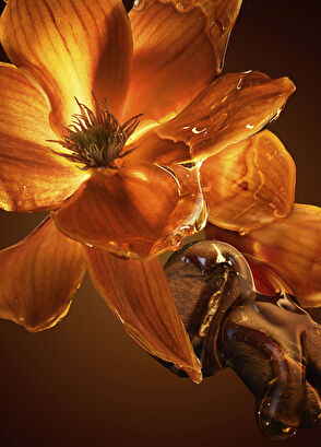 Hugo Boss The Scent EDP Intense 50 ml Kadın Parfüm - 7