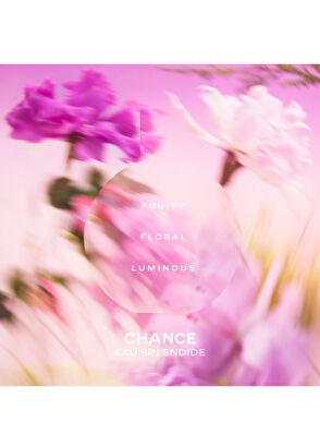 CHANEL Chance Eau Splendid Eau De Parfum Spray 150 ml - 4