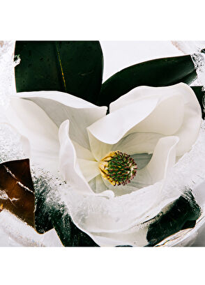 Loewe Aura Pink Magrnolia EDP 100 ml Kadın Parfüm - 3