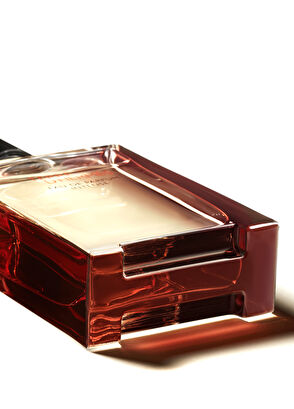 Hermès Terre d’Hermès Eau de Parfum Intense 100 ml - 5