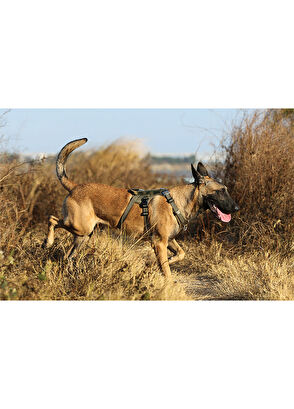 True Love Tactical Asker Yeşili Köpek Göğüs Tasması - 4