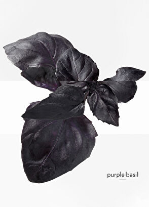 Hermès Eau De Basilic Pourpre Edc 100 ml - 5