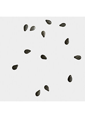 Loewe Black Sesame Scented Candle - 3