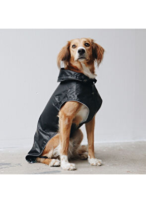 Mons Bons Black Waterproof Dog Raincoat - 3