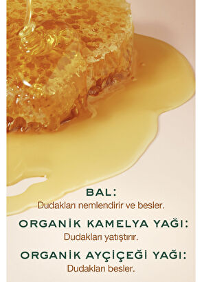 Nuxe Rêve de Miel Moisturizing & Protective Lip Balm & Nourishing Repair Lip Balm - 5