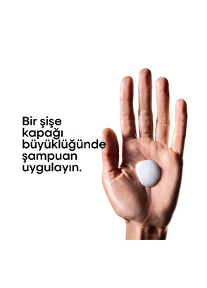 Loreal Professionnel Serie Expert Metal Detox Shampoo for Colored and Treated Hair with Metals 300 ml - 5