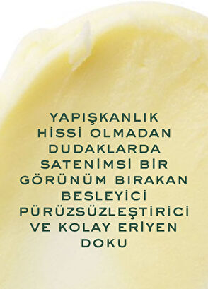 Nuxe Rêve de Miel Moisturizing & Protective Lip Balm & Nourishing Repair Lip Balm - 6