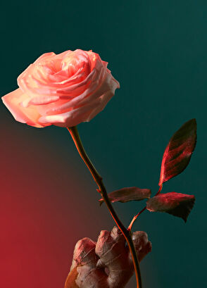 Penhaligon's Liquid Love EDP 100 ML Unisex Perfume - 5