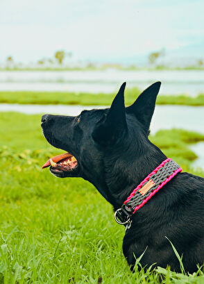 Redzill Pinker Paracord Dog Collar - 5