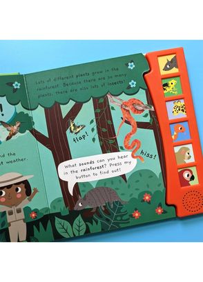 North Parade Publishing - Noisy Rainforest Little Wonders Sound Book ...