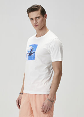 Beymen Club Beyaz Palmiye Baskılı T-shirt - 4
