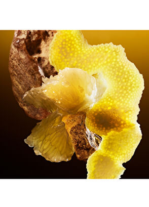 Bvlgari Le Gemme Tygar EDP 60 ml Unisex Parfüm - 7