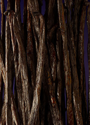 Lancome La Nuıt Tresor Edp 100 ml - 5