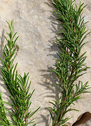 Dolce&Gabbana Light Blue Pour Homme Eau de Toilette 100ML - 6