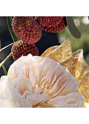 Chloe Signature EDP 30 ml Kadın Parfüm - 5