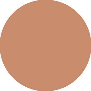 Guerlain Terracotta Original Compact Pudra 03 - 8