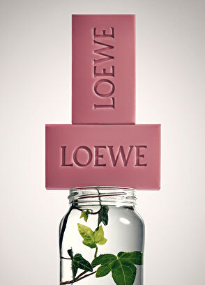 Loewe Ivy 2li Sabun Seti - 4