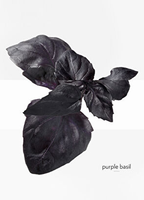 Hermès Eau De Basilic Pourpre Edc 200Ml - 6