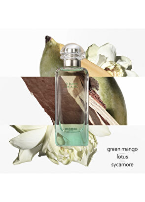Hermès Un Jardin sur le Nil Eau de toilette 100ml - 3