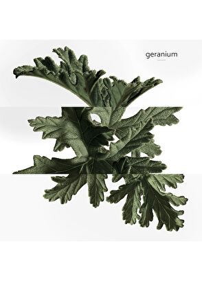 Hermès Collection Colognes Nomads Set 4x15 ml - 8