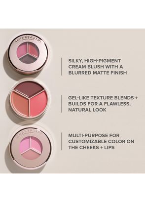 Anastasia Beverly Hills Magict Touch Blush Trio Pink - 6