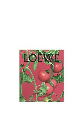 Loewe Tomato Leaves 2li Sabun Seti - 6