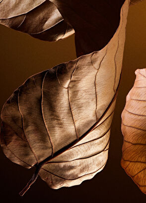 Dolce&Gabbana The One For Men Eau de Parfum 100ML - 6