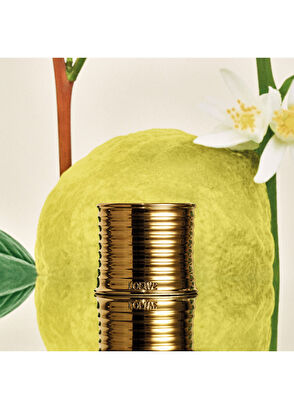 Loewe Earl Grey Scented Candle - 4