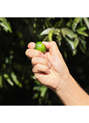 Guerlain Aqua Mandarine Basilic Harvest EDT 125 ml Parfüm - 5