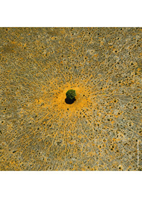 Guerlain Aqua Allegoria Mandarine Basilic EDT 75 ml Parfüm - 4