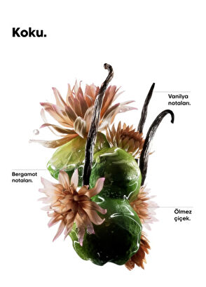 Loreal Professionnel Paris Serie Expert Absolut Repair Molecular Dual Phase Professional Hair Care Oil 90 ml - 8