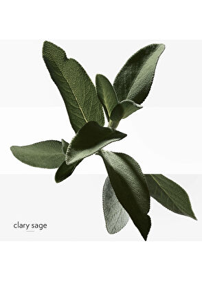 Hermès H24 Ferahlatıcı 75 ml Erkek Stick Deodorant - 6