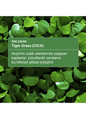 Dr.Jart+ Cicapair Tiger Grass Tiger Grass Liquid Trimmer - 7