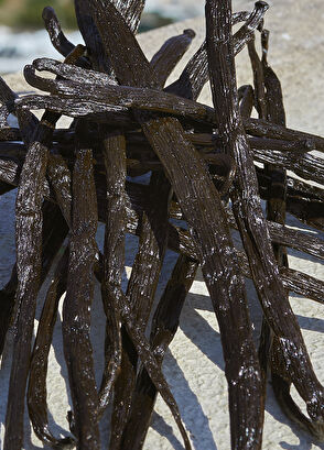 Dolce&Gabbana Devotion Edp 100ml - 6