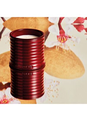 Loewe Sweet Almond Scented Candle - 4