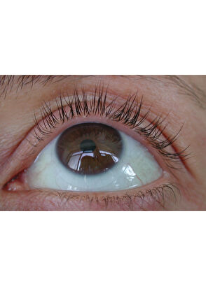 Talika Lipocils Expert - 15