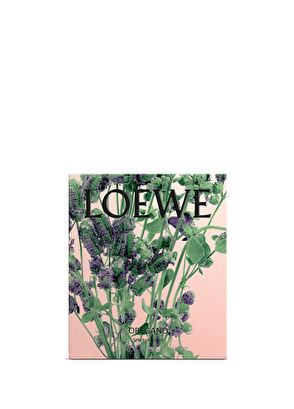 Loewe Oregano Mini Mum - 6