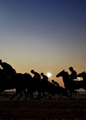 Maison Crivelli Oud Stallion Extrait 50 ml Parfüm - 6