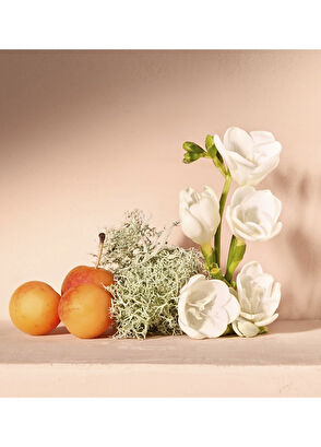 Chloe Nomade EDP 30 ml Kadın Parfüm - 4