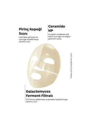 Dermal Seoul Face Pirinç Seramid Hidrojel Nemlendrici Eriyen Kore Maskesi 10 x 34 gr  - 4