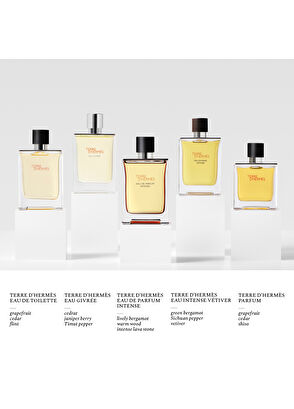 Hermès Terre d’Hermès Eau de Parfum Intense 50 ml - 7