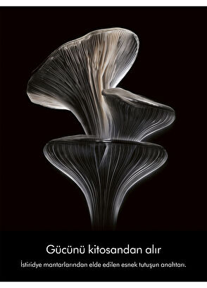 Dyson Chitosan™ Çok Amaçlı Saç Şekillendirme Spreyi 165 ml - 6