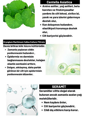 Dermal CICA x Mide Facial Cream Centella Asiatica ve Seramid Özlü Aydınlatıcı ve Kırışıklık Karşıtı Yüz Kremi 75 ml - 3