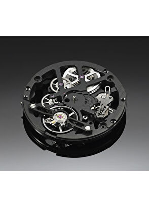 Favre Leuba Chief Skeleton 00.20106.105.06.301 Siyah Erkek Kol Saati - 5