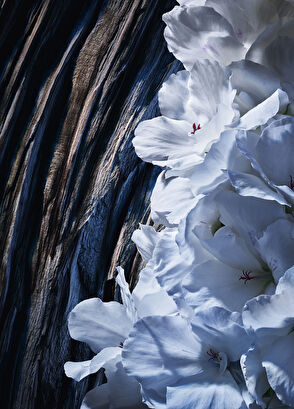 Yves Saint Laurent Yelixir 60 Ml - 4