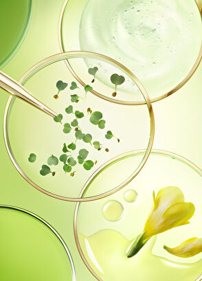 Nuxe Nuxuriance Ultra Yaşlanma Karşıtı Gece Yüz Kremi - 3