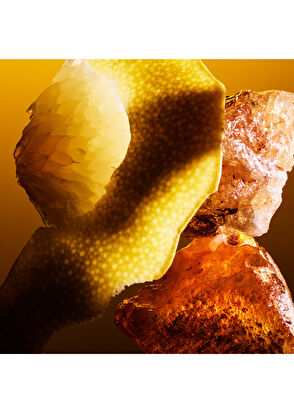 Bvlgari Le Gemme Tygar Extrait 125 ml - 3