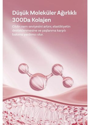 Dermal Seoulface Salmon DNA PDRN Barrier Strengthening Moisturizing Ampoule Mask Korean Mask 10 x 23 gr - 4